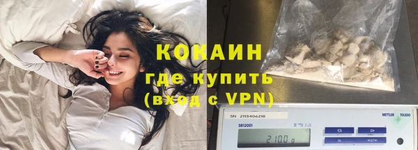 шишки Богородицк