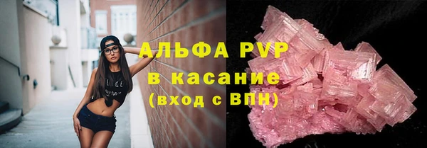 МДПВ Бородино