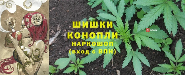МДПВ Бородино