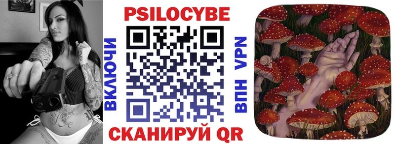Галлюциногенные грибы Cubensis  где купить   Миньяр 