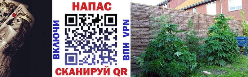 Марихуана OG Kush  hydra ONION  Миньяр 